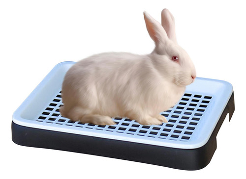 Caja De Arena Para Conejos, Cobayas, Arenero Para Hurones,