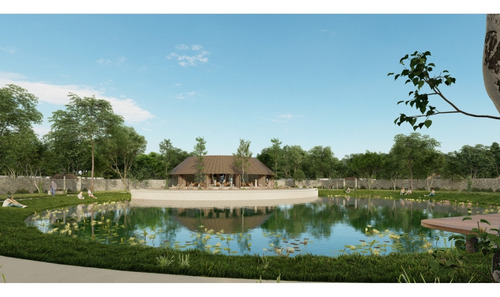 Terreno En Venta En Tekom Valladolid Yucatán.