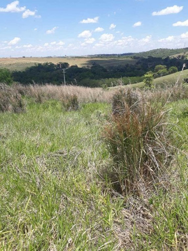 Imagem 23 de 27 de Sitio Campinas Antes Do Pedagio De Jaquariuna 46 Hectares - 42655