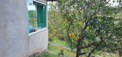 Imagem 15 de 30 de Chácara 5053m2, Casa Sede Com 135m2, 1 Suíte Com Closet, Varanda, 1 Casa De Madeira Com 70m2, 3 Dormitórios, Piscina, Churrasqueira, Lago, Campo Grama - Ch00158 - 70130094