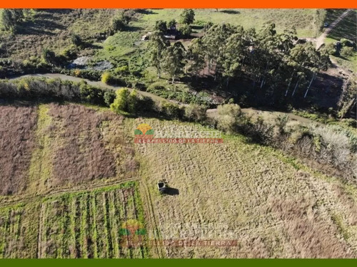 Venta De Terreno 8 Has A Metros De Ruta 5 , Canelones