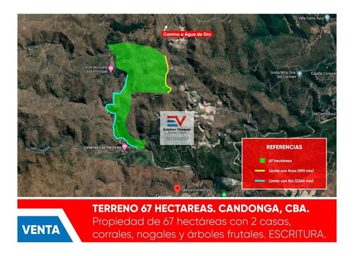 Imagen 11 de 30 de Venta. 67 Hectareas En Candonga, Cordoba. Con 2 Km De Costa De Rio. Titulos Perfectos