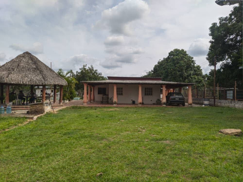 Imagen 1 de 11 de Venta De Finca En Tinaquillo Estado Cojedes Cod. 12604 Hm 04245552216