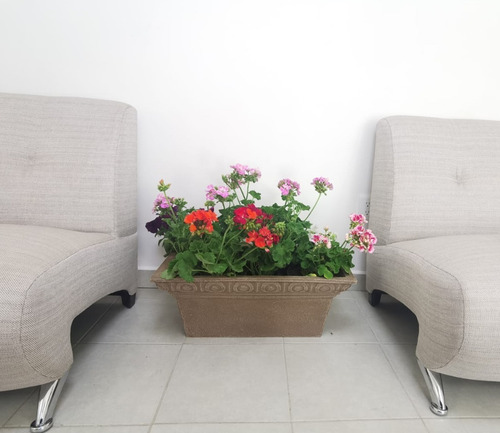Imagen 6 de 7 de Maceta Minimalista Jardinera Mejor Que Fibra De Vidrio .31