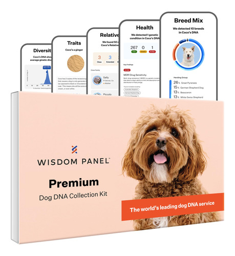 Wisdom Panel Premium Kit De Adn Para Perros: Mas Completo Co