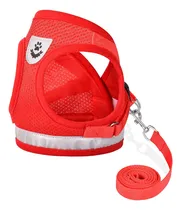 Comprar Arneses Para Gatos Y Cachorros Con Juego De Correas, Arnés 