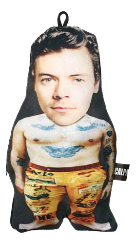 Cojin Harry Styles Chiquito 25 Cm - Cojin Personalizado