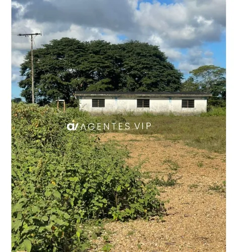 Punta De Mata, Estado Monagas