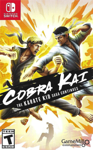 Cobra Kai: The Karate Kid Saga Continues Nintendo Switch