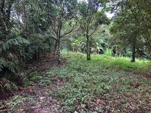 Imagem 10 de 12 de Terreno No Jardim Coronel Em Itanhaém, Com 465 M² De Área Total