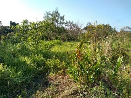 Imagem 6 de 7 de Terreno De 982 Metros No América | Itanhaém Litoral Sul Sp