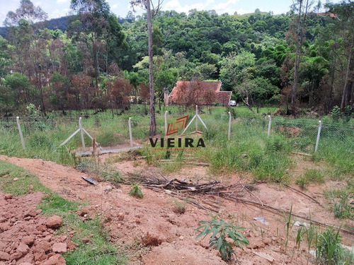 Imagem 8 de 10 de Terreno Para Chácara Ou Galpão, Excelente Local! - 3714-1
