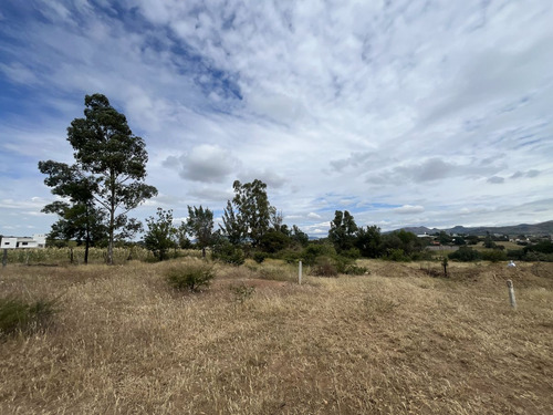 Terreno En Venta En La Trinidad, Guanajuato Tranquilidad Campestre Y Cercanía