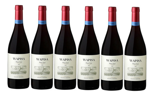 Wapisa Pinot Noir - Caja X 6 Botellas