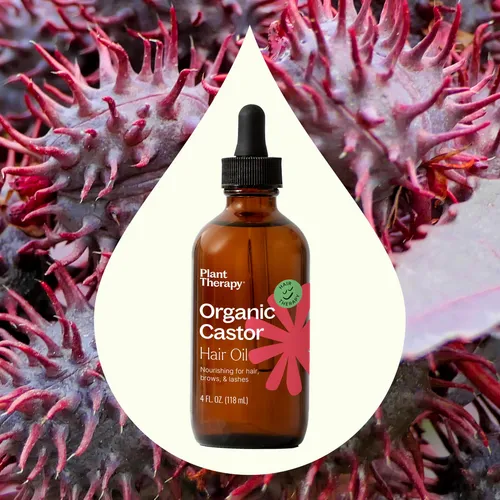 Aceite De Ricino Plant Therapy Usda, Orgánico, Prensado En F