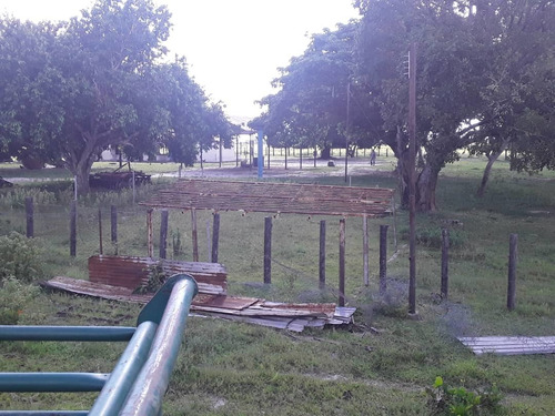 Imagen 10 de 14 de Finca En Venta - El Manteco, Estado Bolivar Fl