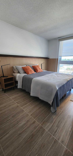Depto Studio Amoblado Isla Teja Valdivia (73786)