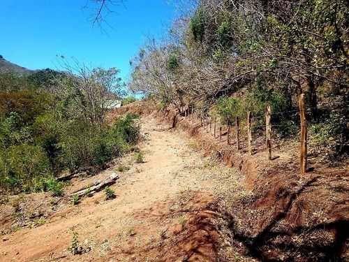 Imagen 8 de 11 de Se Vende Hermoso Terreno Lote De 3700 Metros M2 En La Cruz De Guanacaste