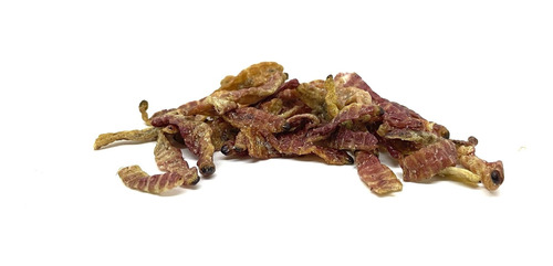 Gusano Chinicuil De Maguey Oaxaca Crudo 100g