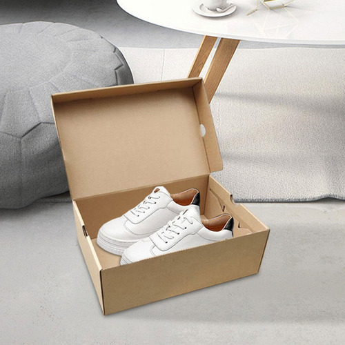 . Caja Almacenamiento Zapatos, Estuche 30cmx18cmx10cm