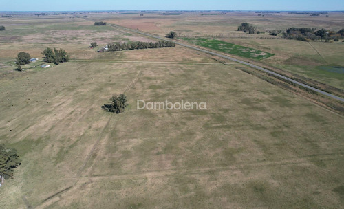 Imagen 2 de 7 de Terreno Campo En Venta Ubicado En Luján, G.b.a. Zona Oeste, Argentina