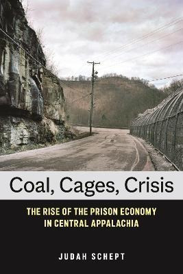 Libro Coal, Cages, Crisis : The Rise Of The Prison Econom...