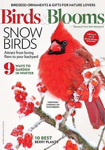 Revista De Pájaros Y Blooms