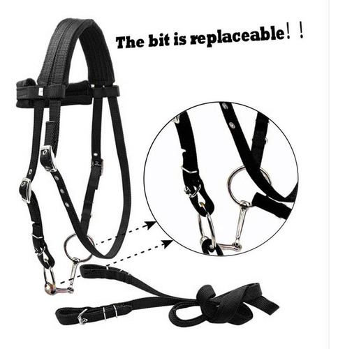 Rienda De Caballo Con Cabestro De Control De Negro M