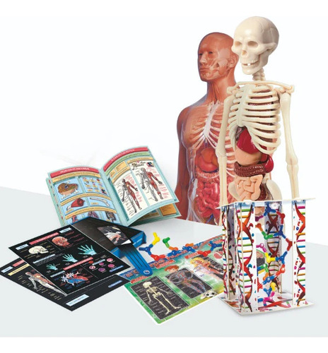 Super Anatomia Cuerpo Humano Clementoni