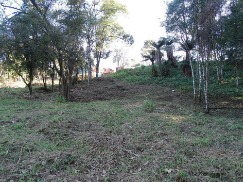 Imagem 8 de 15 de Terreno À Venda, 463 M² Por R$ 446.800,00 - Vivendas Do Arvoredo - Gramado/rs - Te0093