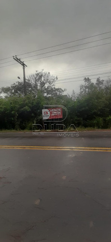 Imagem 6 de 7 de Area - Faxinalzinho - Ref: 34091 - V-34088