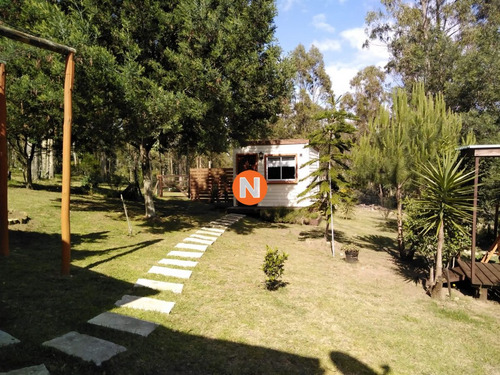 Imagen 13 de 26 de En Venta Muy Linda Chacra De 5 Has, Ruta 60, Maldonado - Maldonado