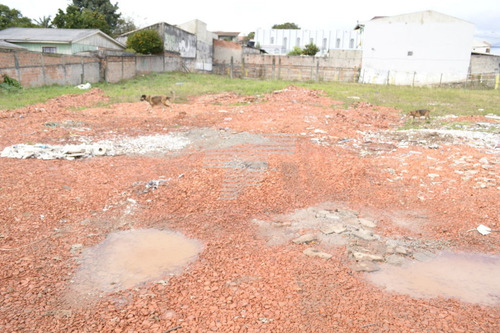 Imagem 15 de 15 de Terreno Com 4917m² No Capão Raso, Próximo Ao Terminal. - Re61432378