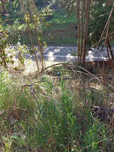Parcela Plana 5.000 M² En Cholchol (172581)