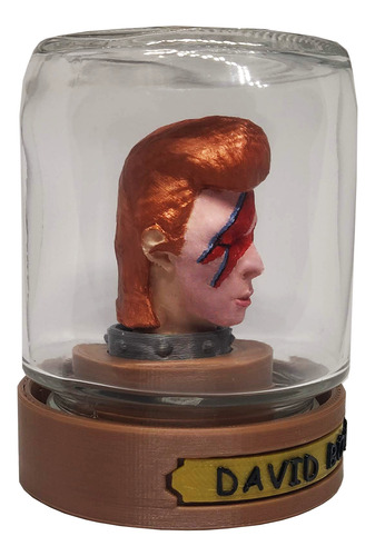 David Bowie - Heads In A Jar - 3dprinted - 9cm Altura