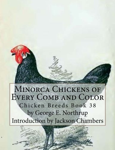 Minorca Chickens Of Every Comb And Color Chicken Breeds Book