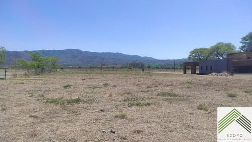 Imagen 6 de 18 de Terreno El Encon Club De Campo