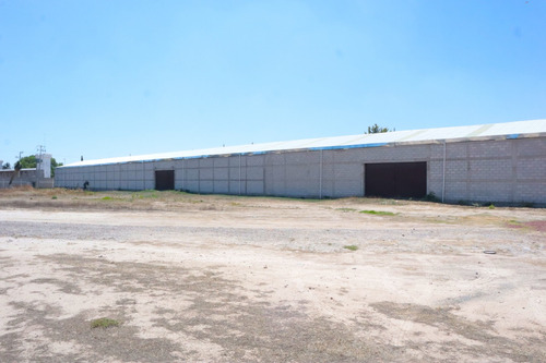 Bodega En Renta Cerca De Platah Carretera México Pachuca