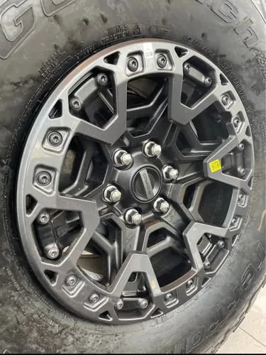 Lobo Raptor R