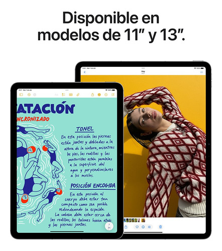 iPad air 11 pulgadas Wi-fi + Cellular 1 tb Gris Espacial(m3)
