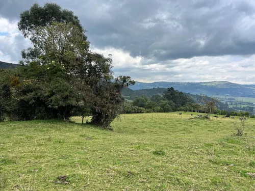 Venta Finca En La Vereda Salitre Alto En Guasca Cundinamarca-5876 (5876).