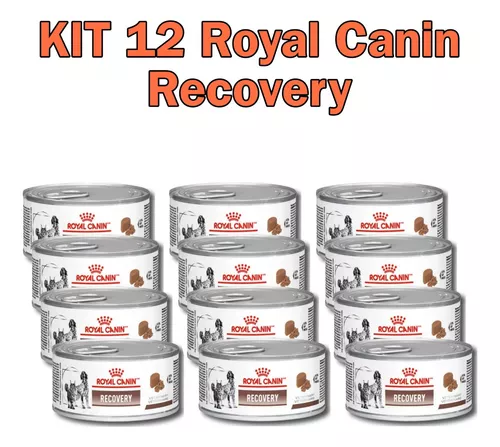 Kit 3 Recovery Lata Ração Royal Canin Cães e Gatos 195g em