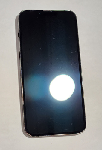 Apple Iphone 13 Pro Max 256 Gb - Grafito Desbloqueado, Usado Grafito (Usado)