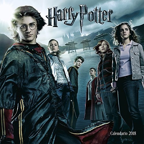 Harry Potter Wall Calendar(spanish Edition )
