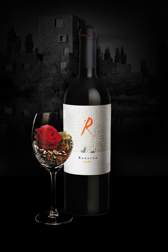 Imagen 3 de 8 de Vino Renacer Malbec Icono 6 Botellas