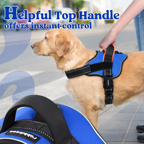 Arnés Para Perro Rabbitgoo, No Pull, Ajustable, Tamaño S