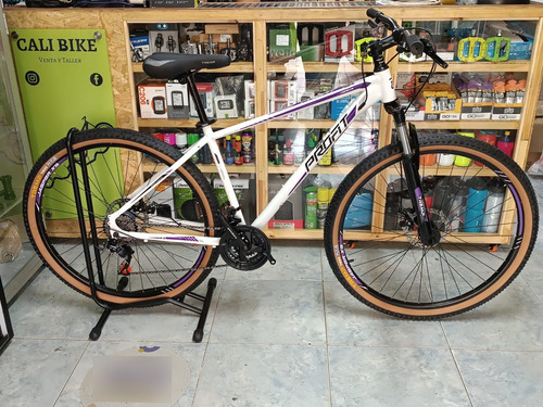 Bicicleta Rin 29 Profit Jasper Z/x3 8 Velocidades Hierro Mtb