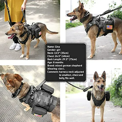 Arnés Táctico Para Perros Con Collar De Entrenamiento Y Corr