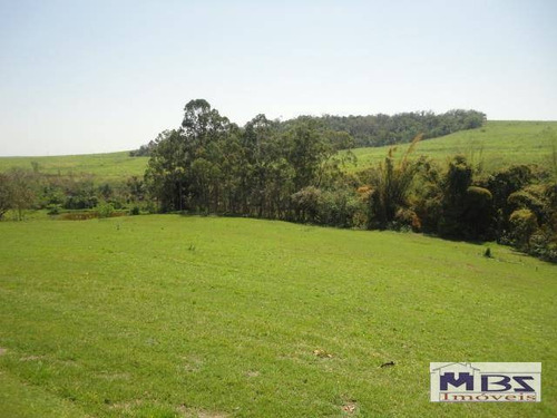 Imagem 6 de 7 de Porto Feliz (sítio Para Venda E Locação) - Si0003