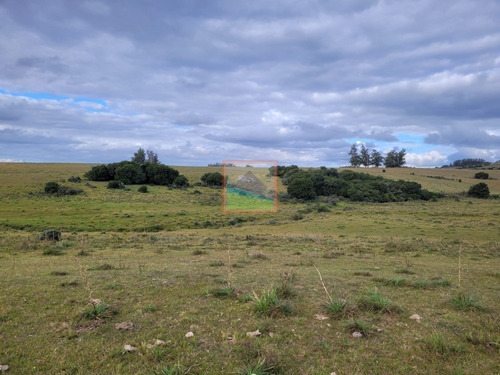 Imagen 6 de 25 de 20has De Campo Sobre Ruta 12 Pueblo Edén